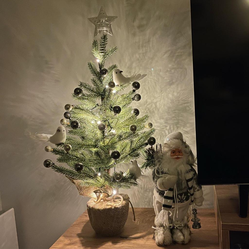 Apartman Aleni - Bela Reka, Brzeće photo 3