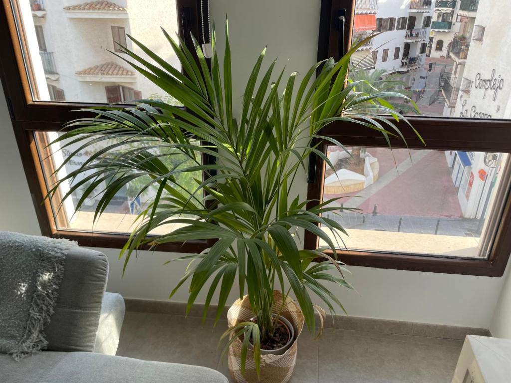 Apartamento La Sabina Moraira photo 1