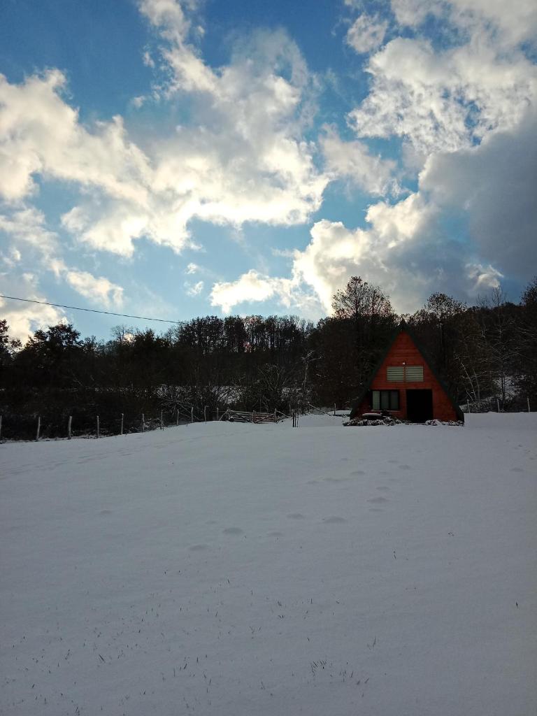 Čivova brvnara photo 1