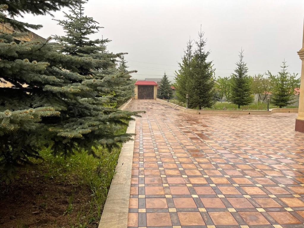 Quba Villa photo 2