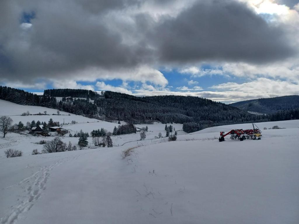 Blockhaustraum photo 2