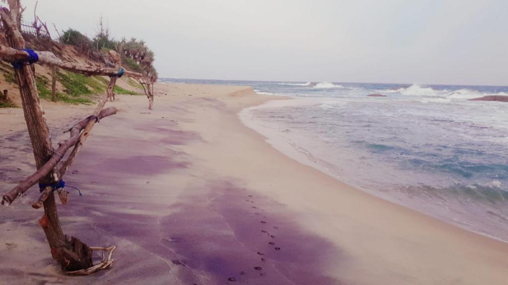 Beach Bungalow Yala photo 1