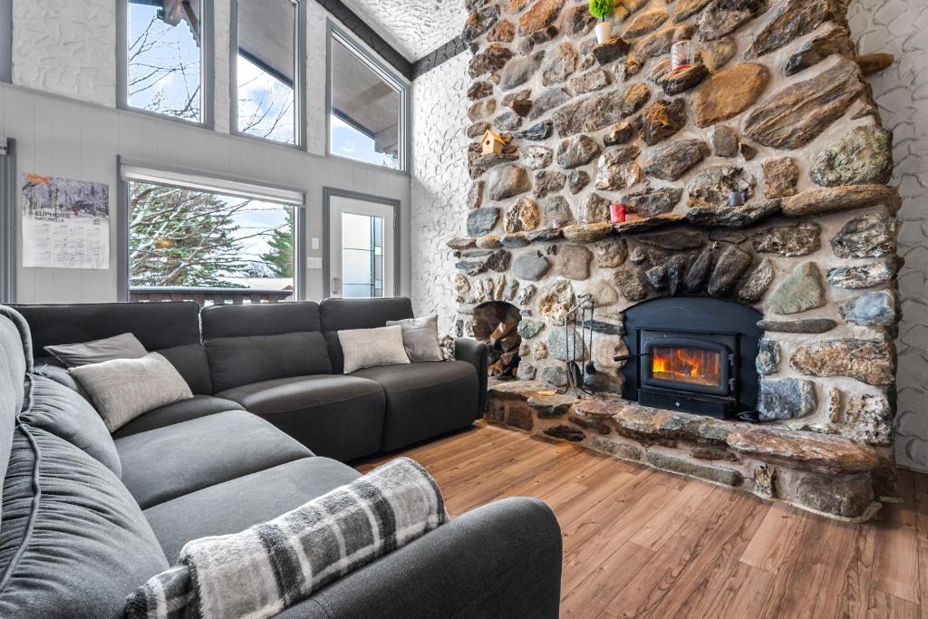 The Alpine, Bee Bop and Zig Zag condos of Mount Sutton photo 3