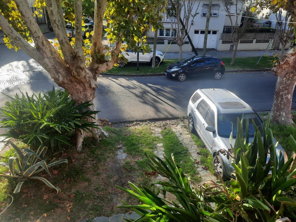 Aparts del Jardin photo 1