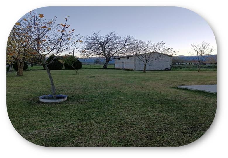 ILIOSPITOTRIKALa photo 3