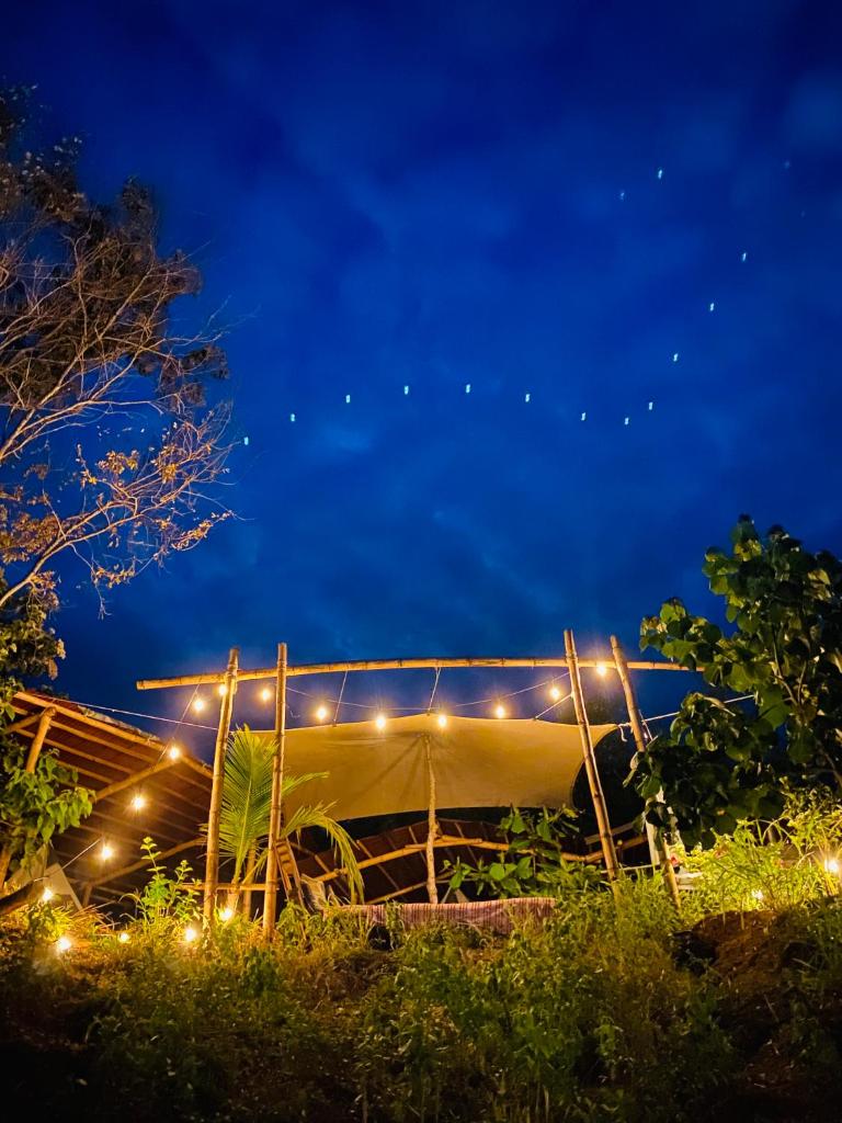 BAJO LAS ESTRELLAS photo 1