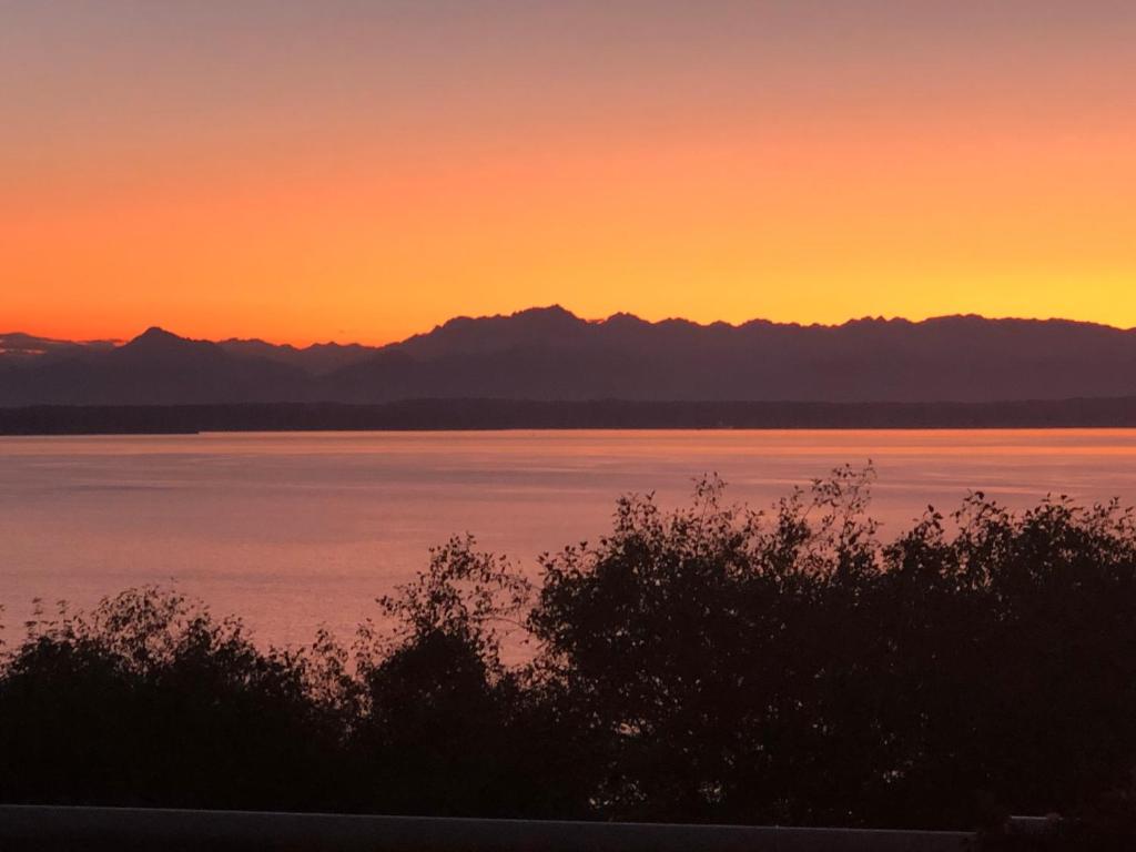 1-Bedroom Seaview Guesthouse on Seattle Luxury Estate with Views of Olympic Mountains image