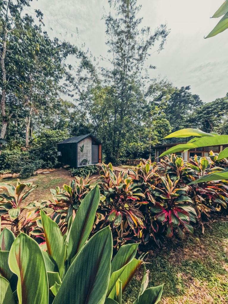 TAGUA LODGE photo 3
