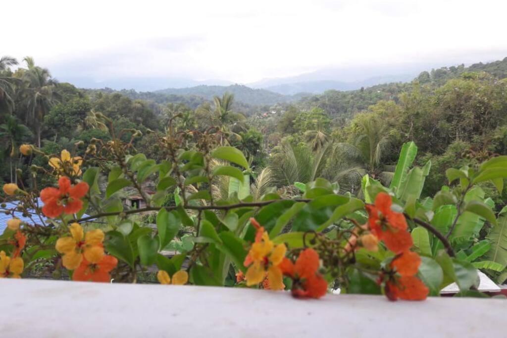 Mount View Holiday Home photo 1