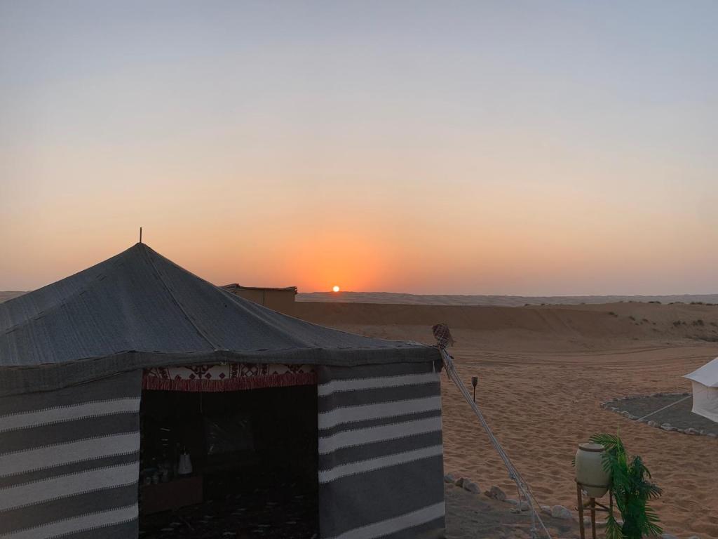 Thousand Stars Desert Camp photo 3