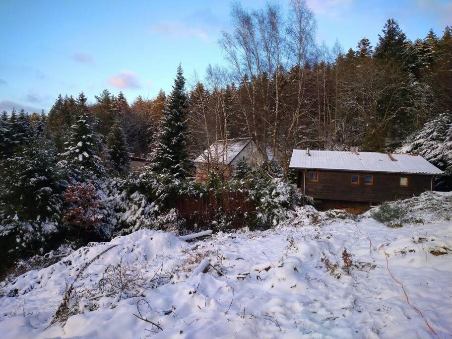 Le gîte du Männele - Into my Hardt photo 1