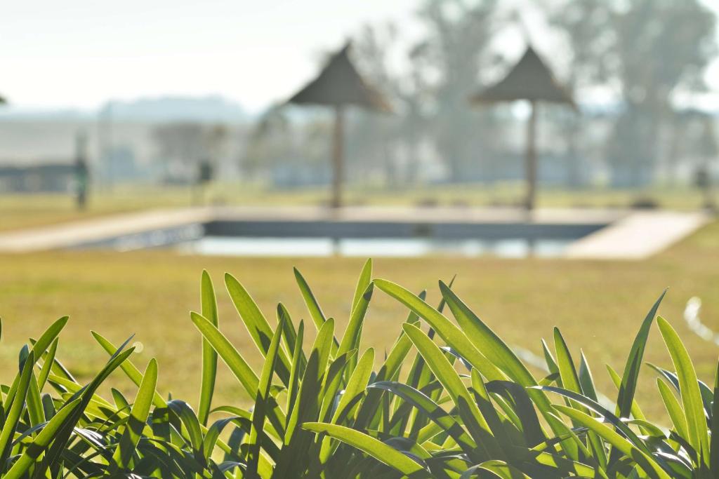 Hotel Santa Cristina photo 2