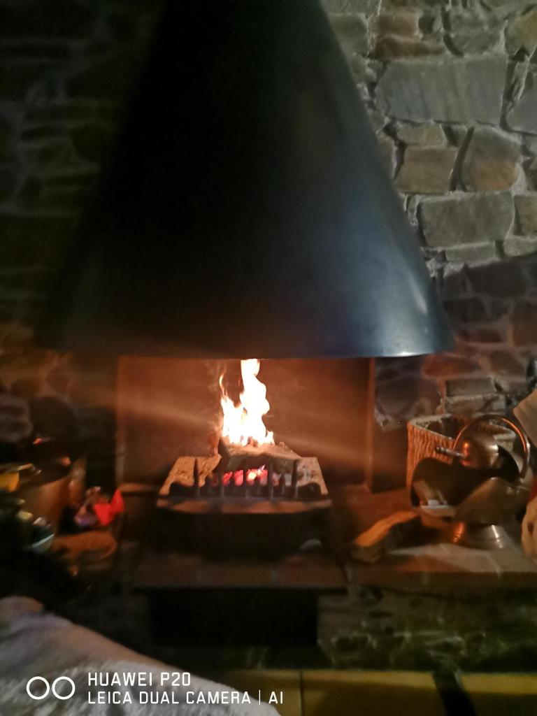 Le Nid Cerdan photo 1