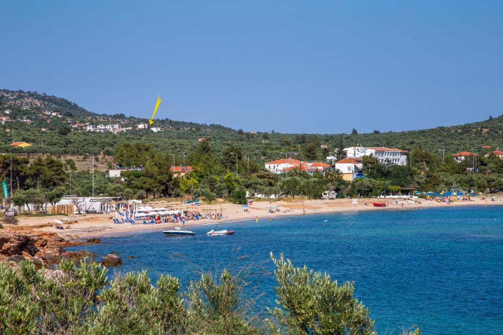 Villa Oliva photo 1