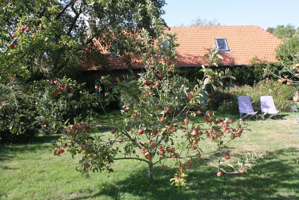 Petite Maison photo 4