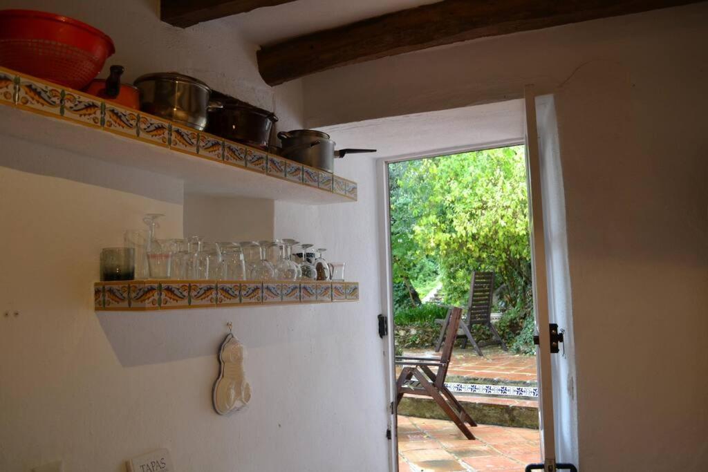 La Oliva photo 3