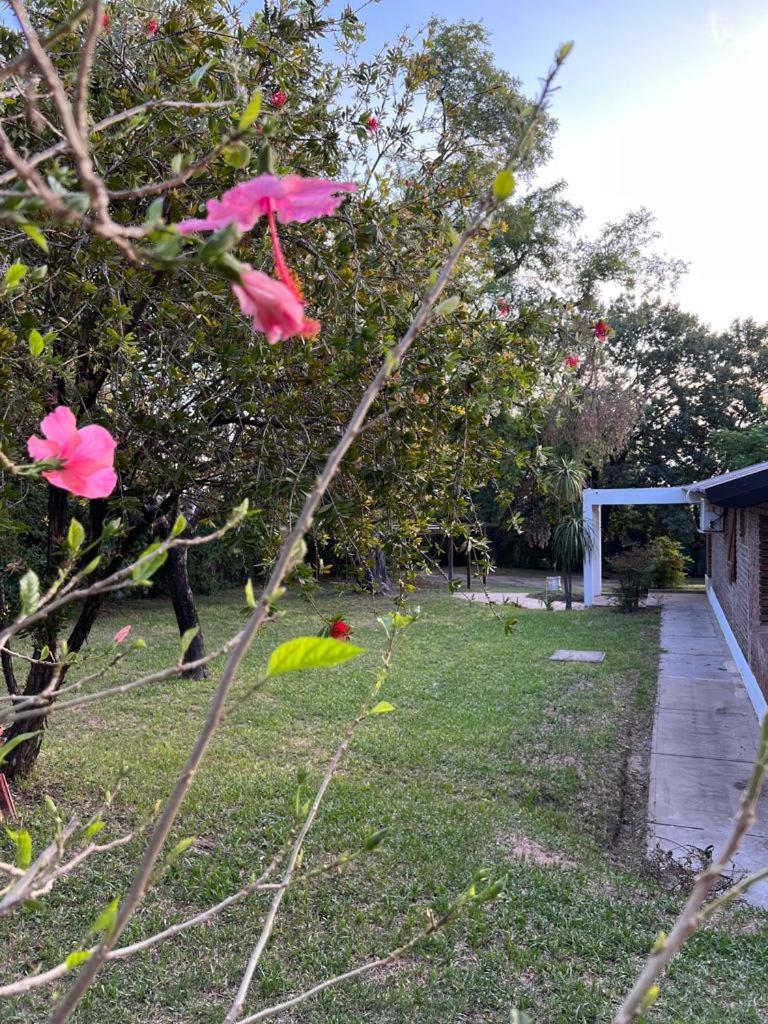 Homestay Victoria Entre Rios photo 4