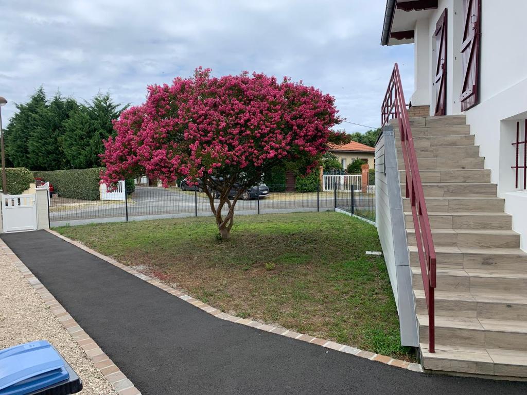 Résidence « les Gets » Location T4 Vieux-Boucau-Les-Bains photo 2