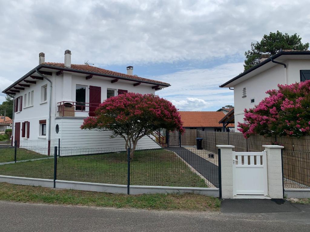 Résidence « les Gets » Location T4 Vieux-Boucau-Les-Bains photo 1