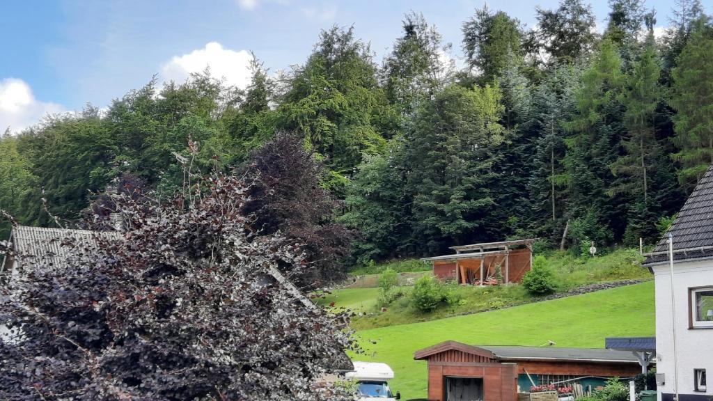 YALET Ferienhaus Willingen photo 3