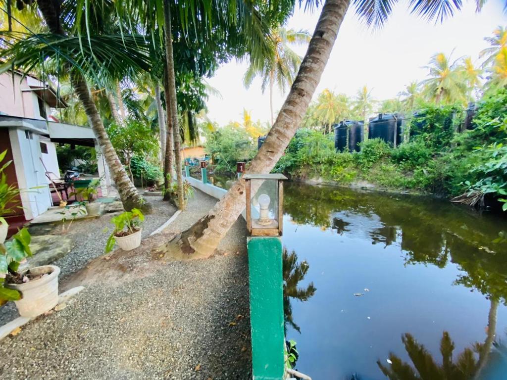The River Villa photo 2