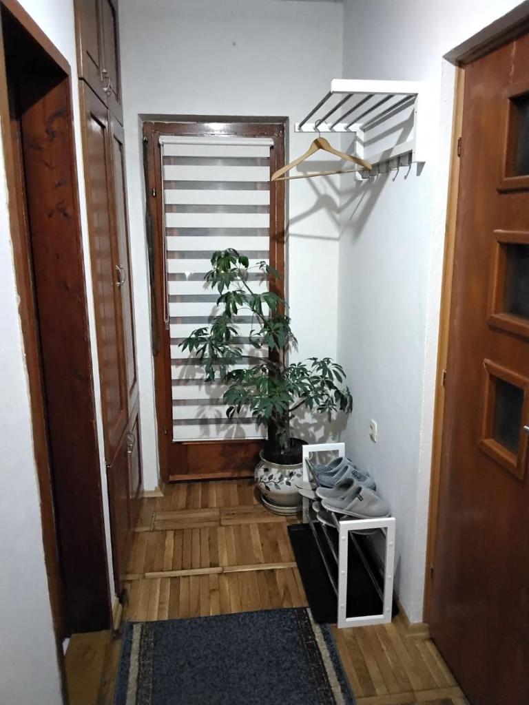 Fina Apartment photo 4
