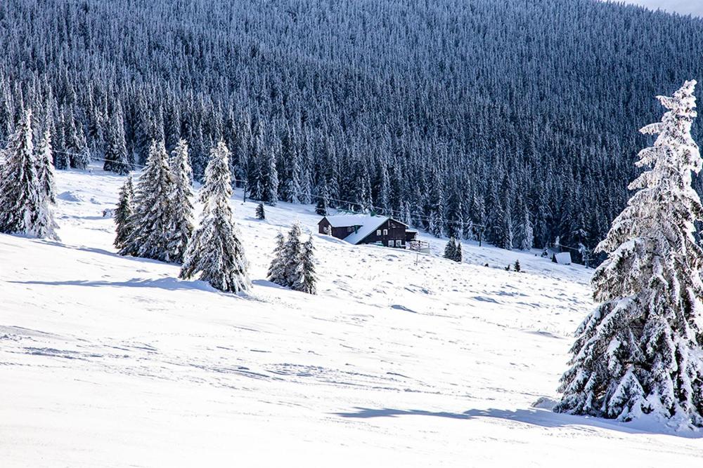 Horská bouda KUPROVKA photo 1
