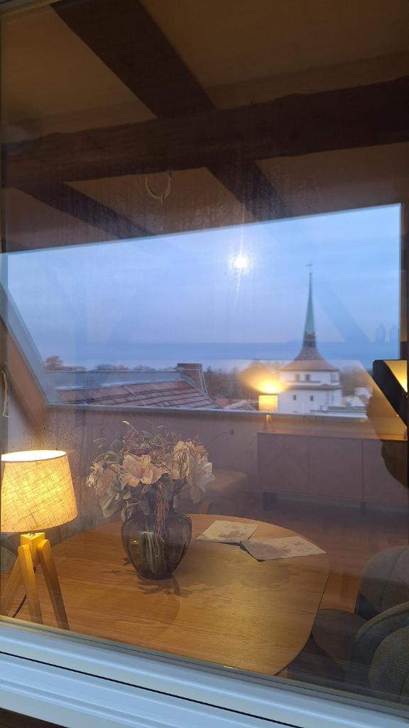 Stadtpalais Bellevue-Suite 3- Zimmer- Maisonettewohnung mit Dachterrasse maximal 4 Personen