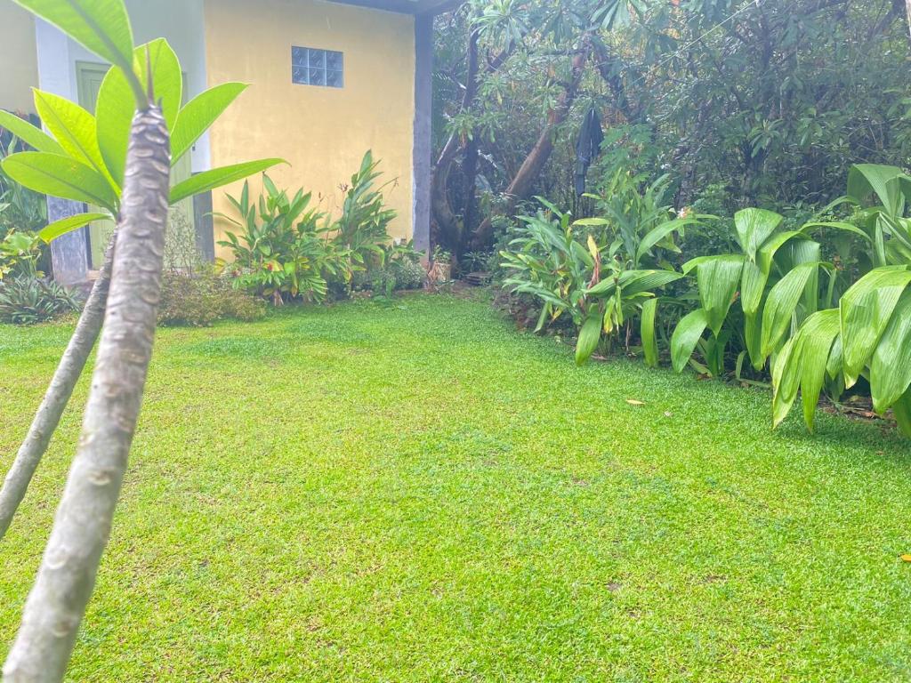 Maina Home's Gₐₗₗₑ photo 2