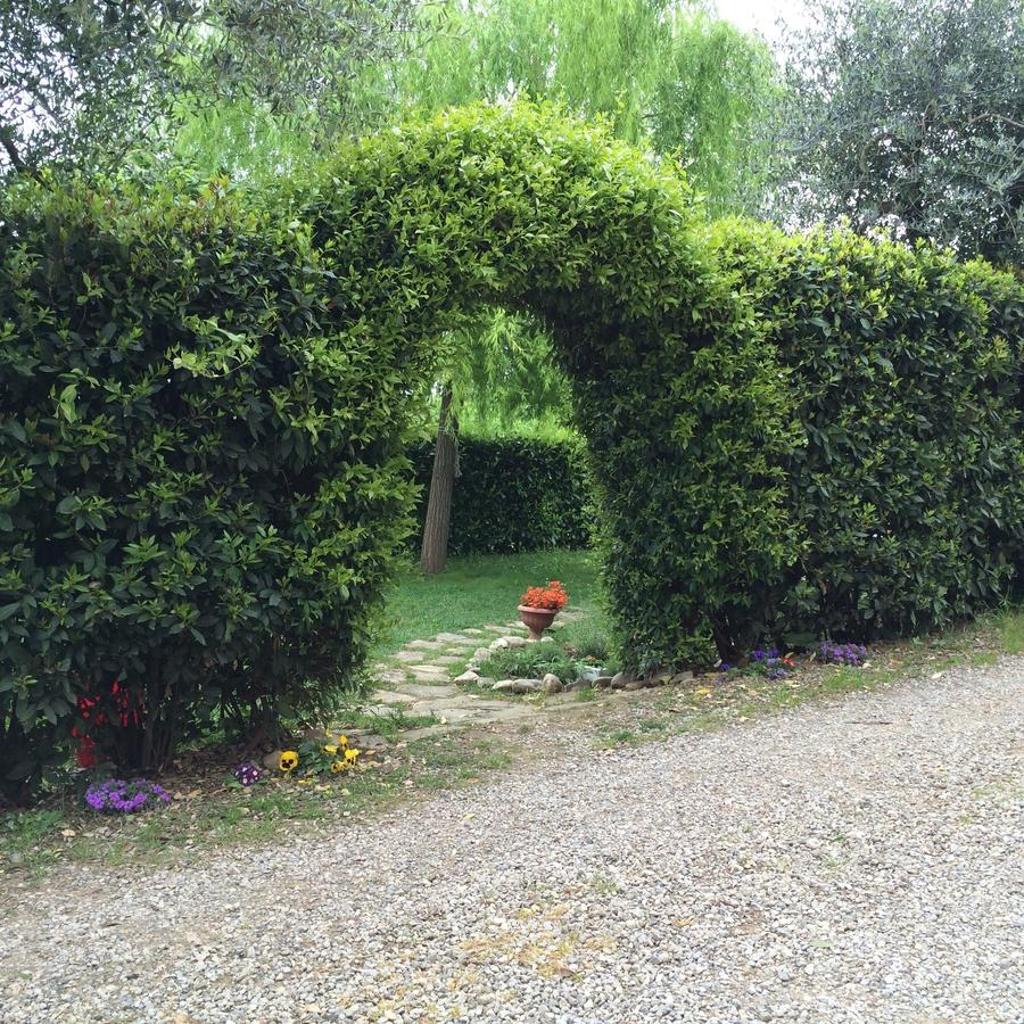 Casina Rosa photo 3