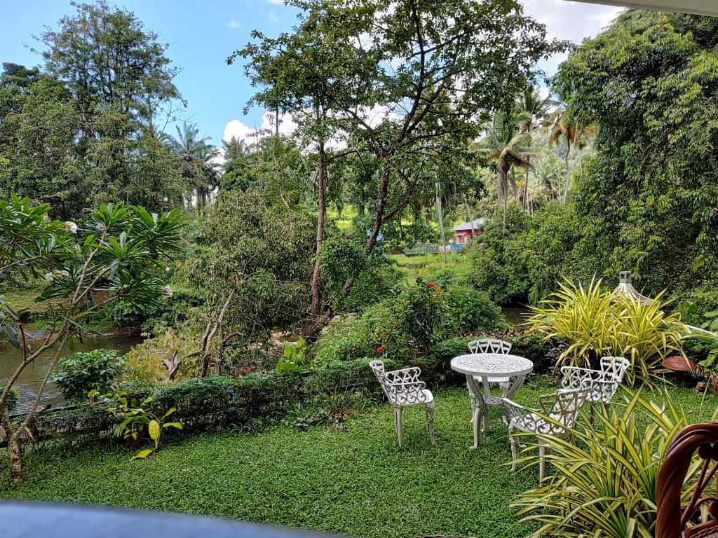 Athirapilly On The Rocks photo 4