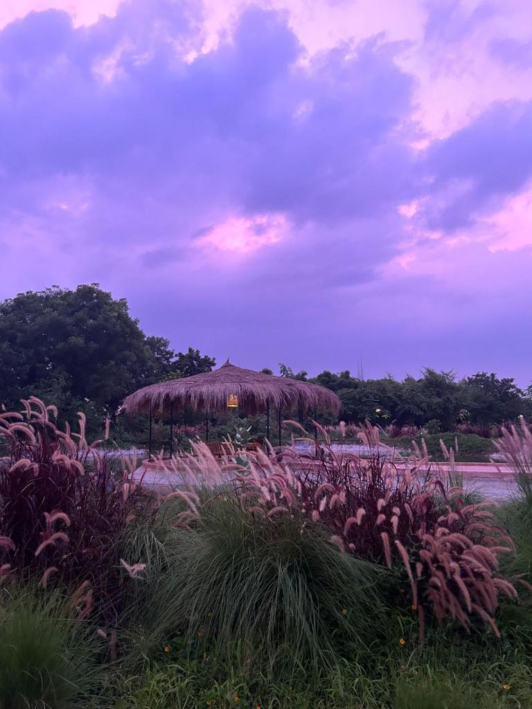 Dhyaana Farms photo 1