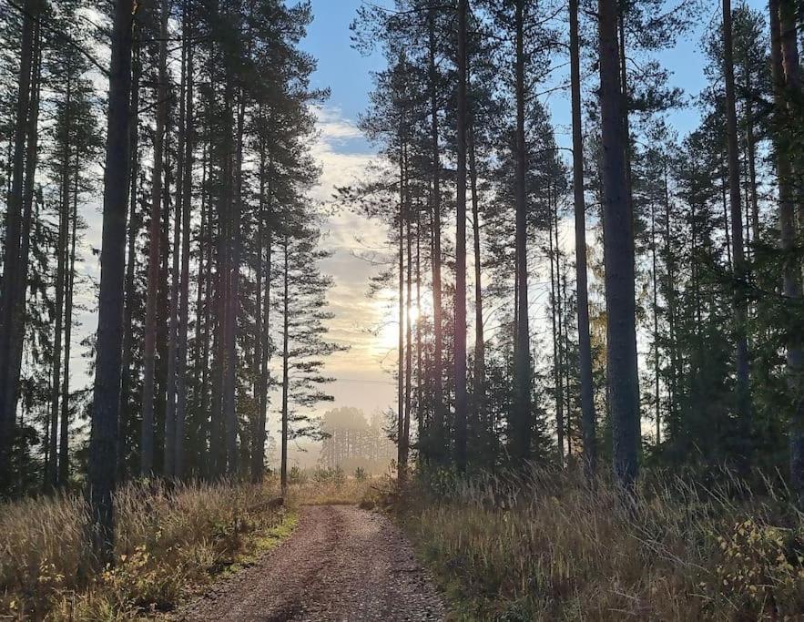 Läkarvillan i Lövstabruk photo 2