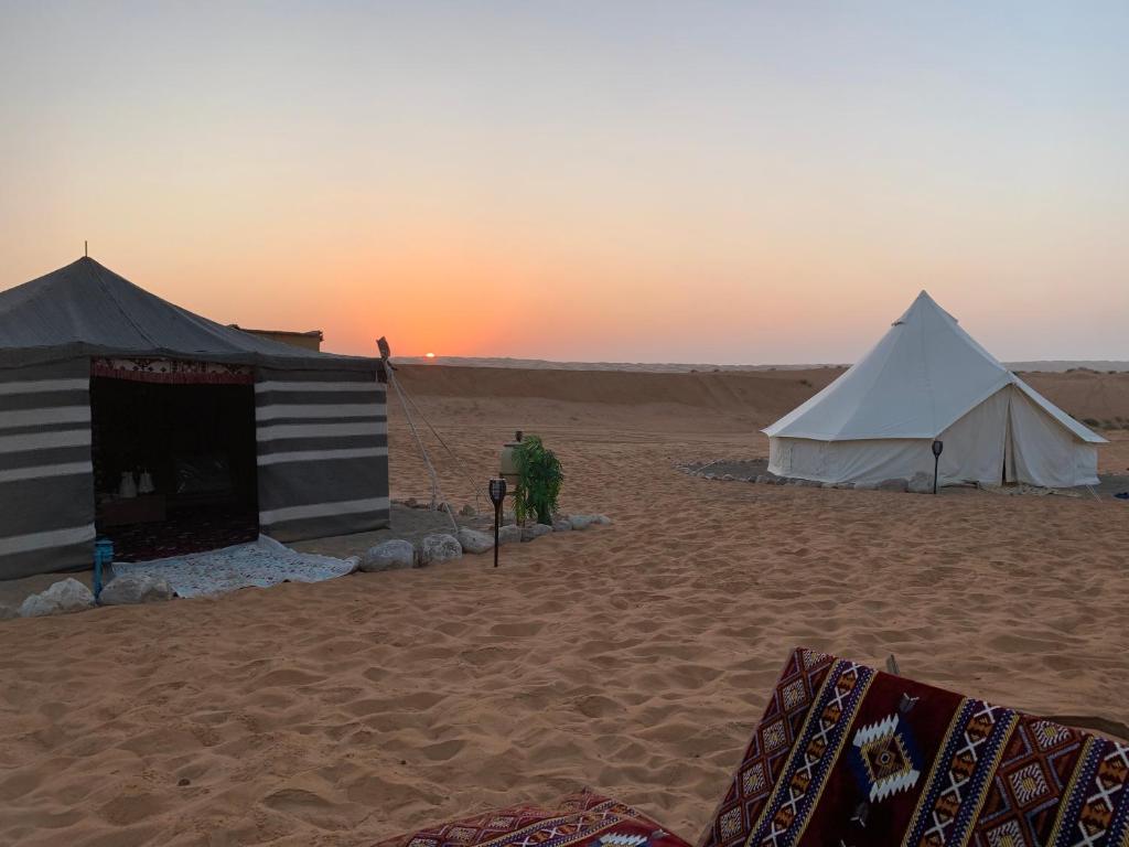 Thousand Stars Desert Camp photo 4