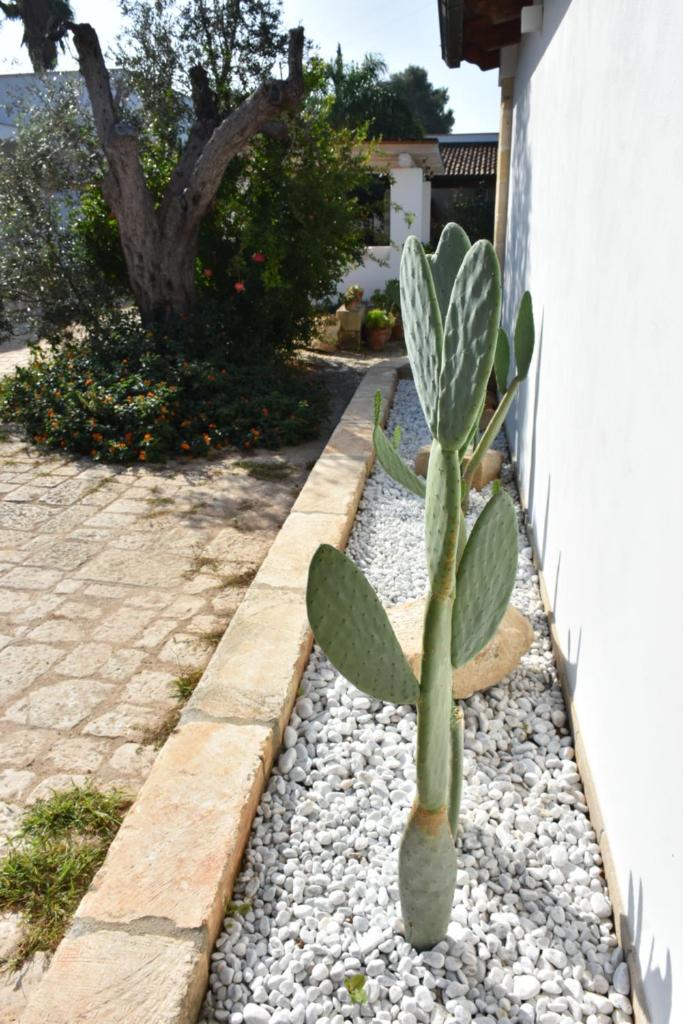Masseria Tenuta Flora Maria photo 2