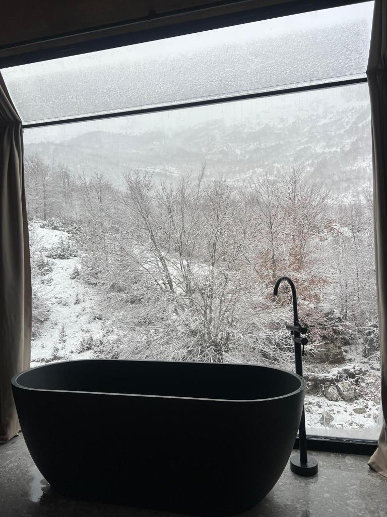 North Alpine Villas photo 2