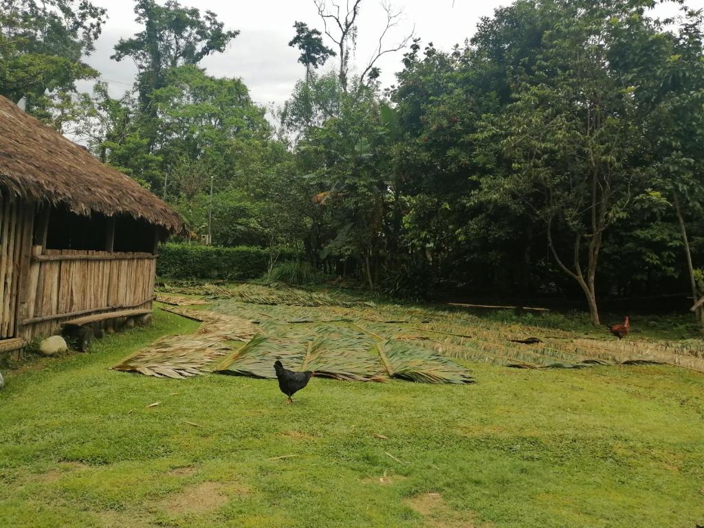 Ditsokata Ú photo 1