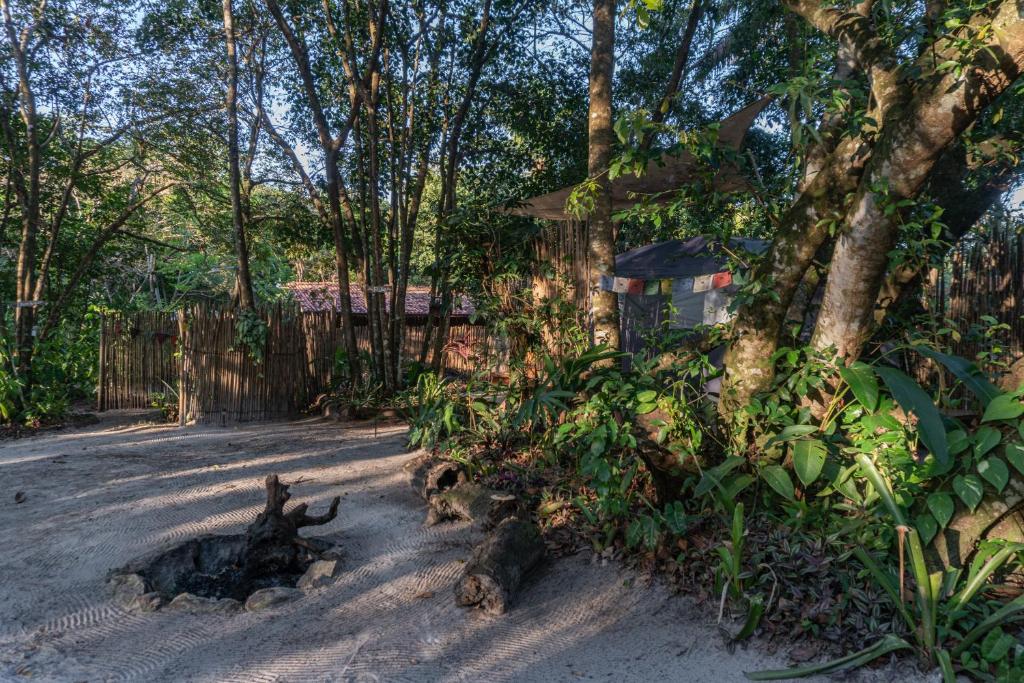 Glamping Coco Dendê - Algodões photo 2