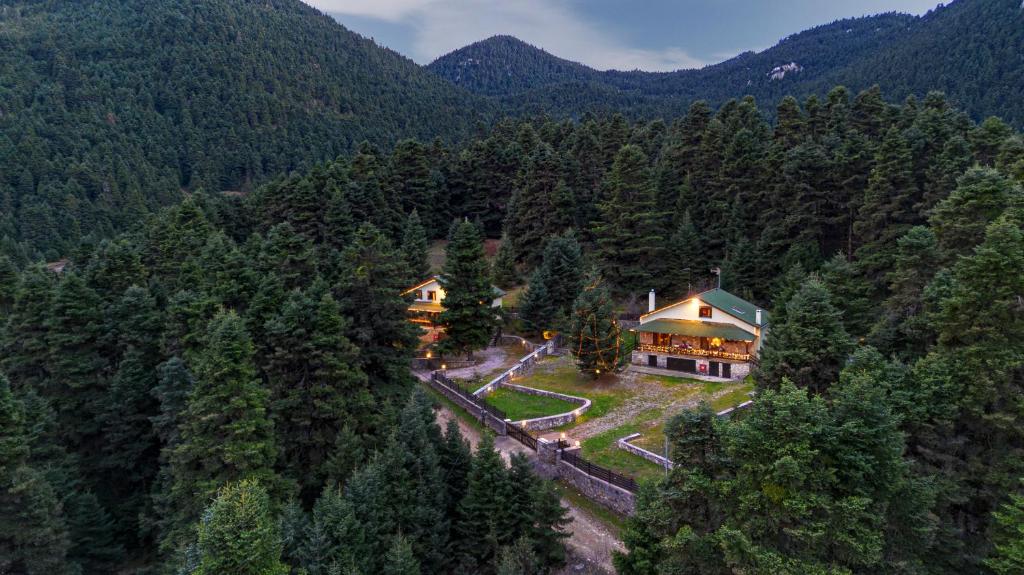 Dandy on the hill Chalet Artemis - Fir Forest - Jeep & Nature Lovers