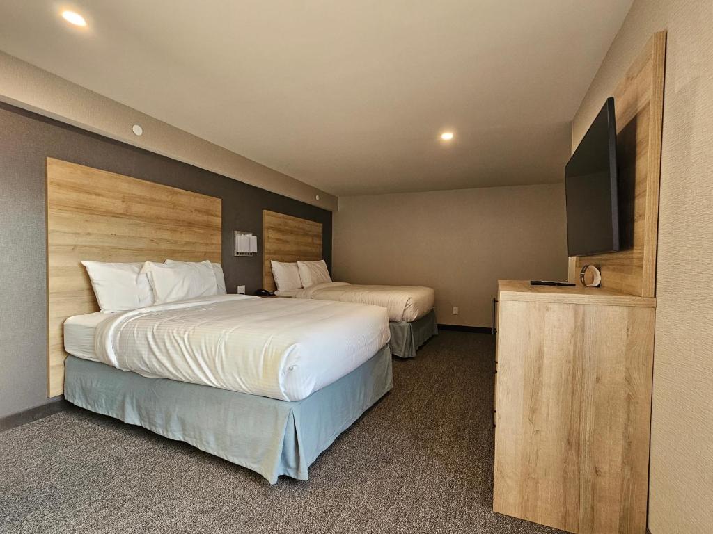 Vittoria Hotel & Suites photo 4