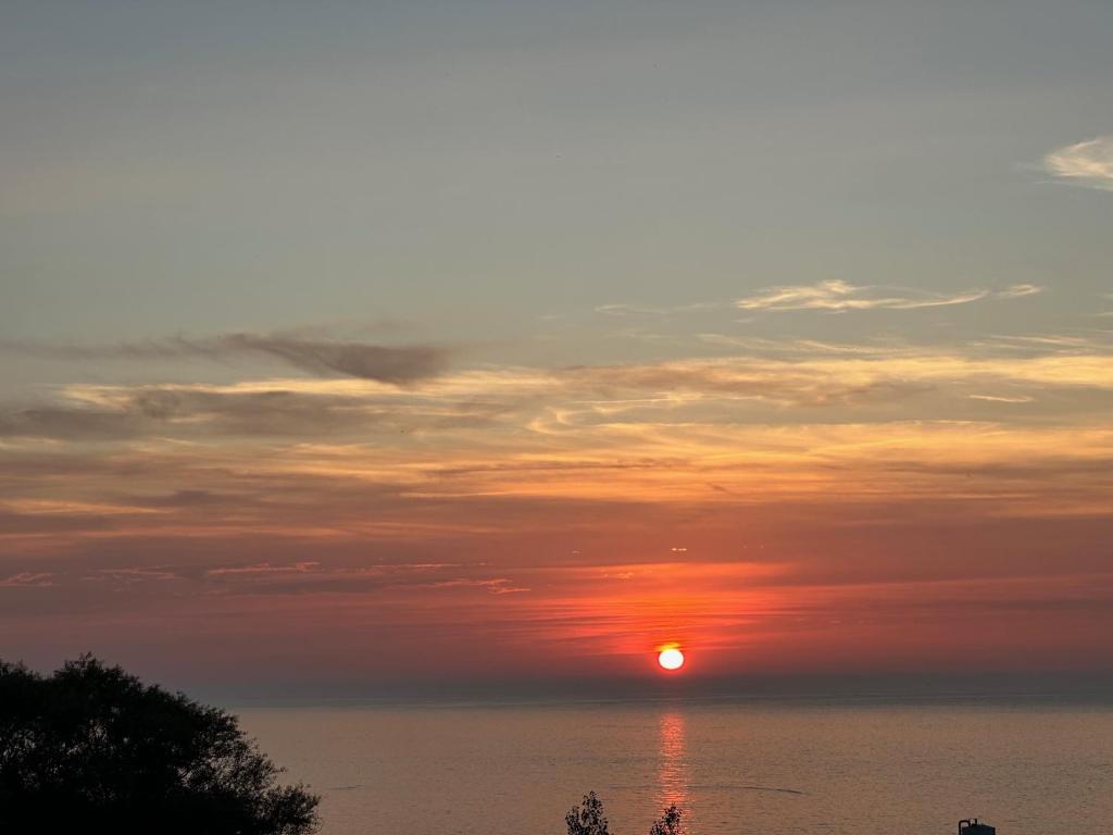 Appartement terrasse face mer photo 1