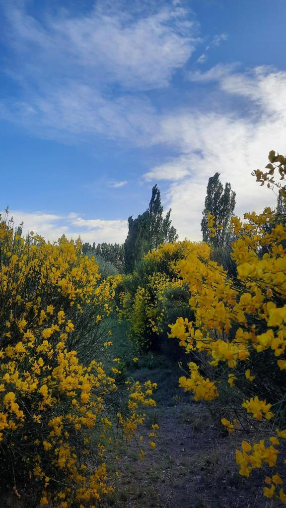 Finca La Calma photo 1
