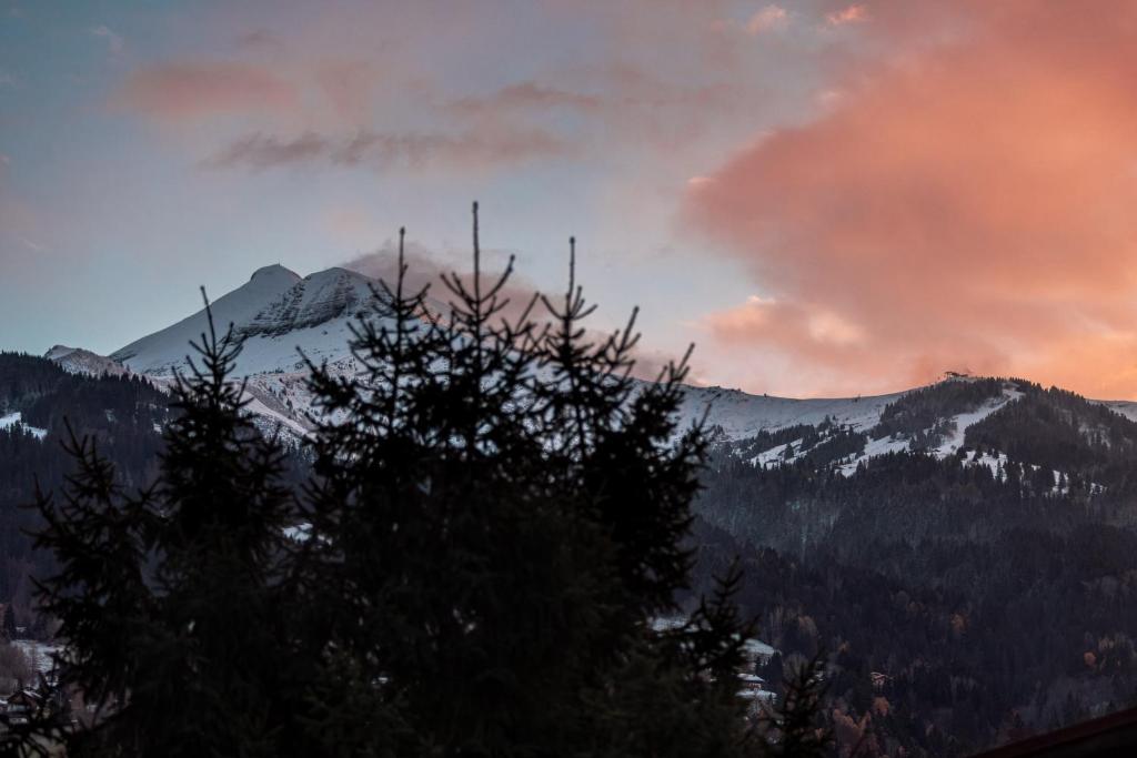 Studio - Le Vorasson Ideal for a duo break in Saint-Gervais! photo 4