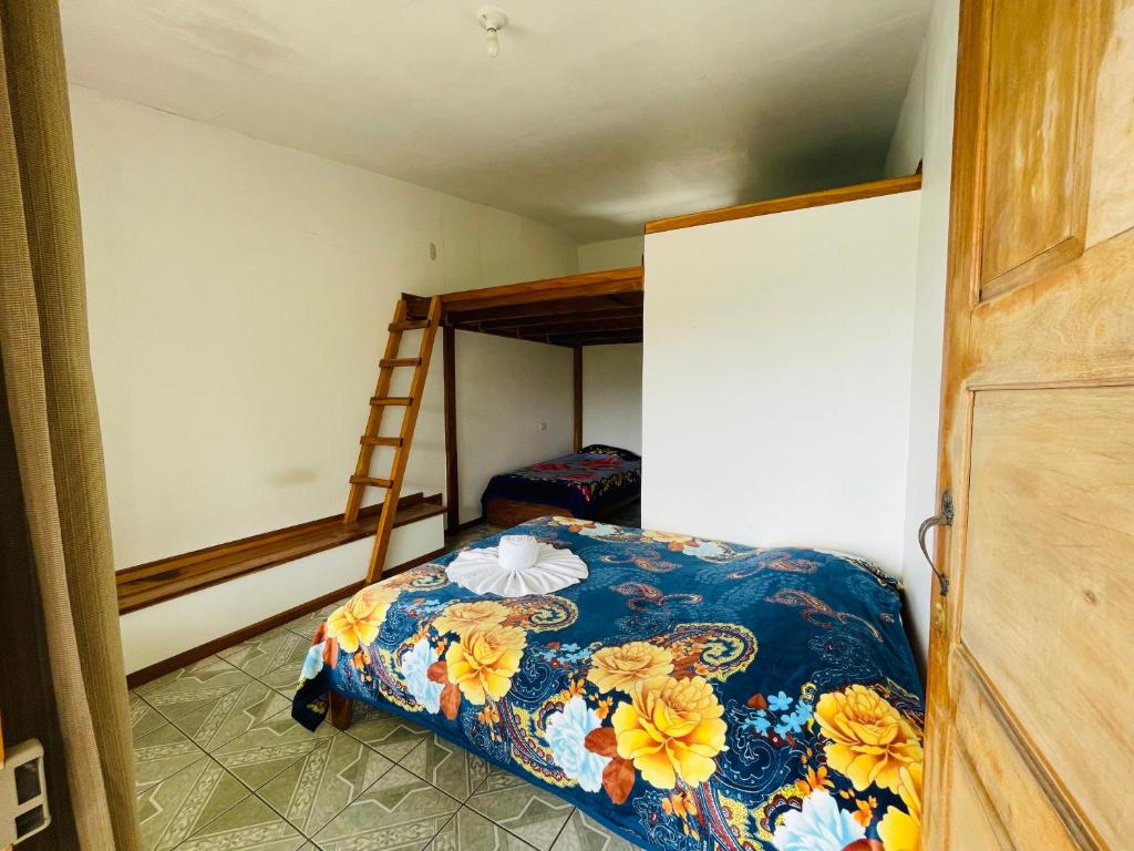 Cabinas Nuestra Kasa photo 1