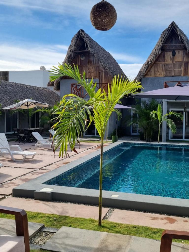 Gecko Hotel photo 1