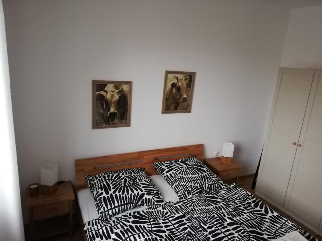 Ferienwohnungen Frank photo 1