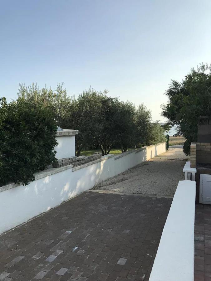 Apartments Pavle photo 1
