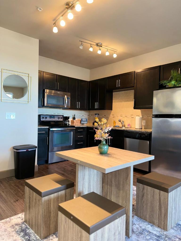 Luxury Apartment in Dallas photo 4