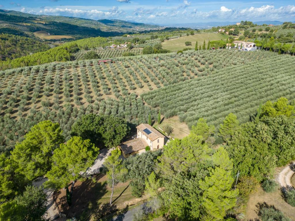 Agriturismo I Getsemani photo 3