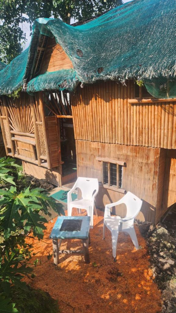 Nirvana Bamboo & Dive resort photo 1